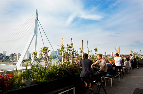 Drinks and dining places Rotterdam Drinks and dining places Rotterdam